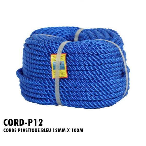 CORDEAU PLASTIQUE BLEU 12MM X 100M