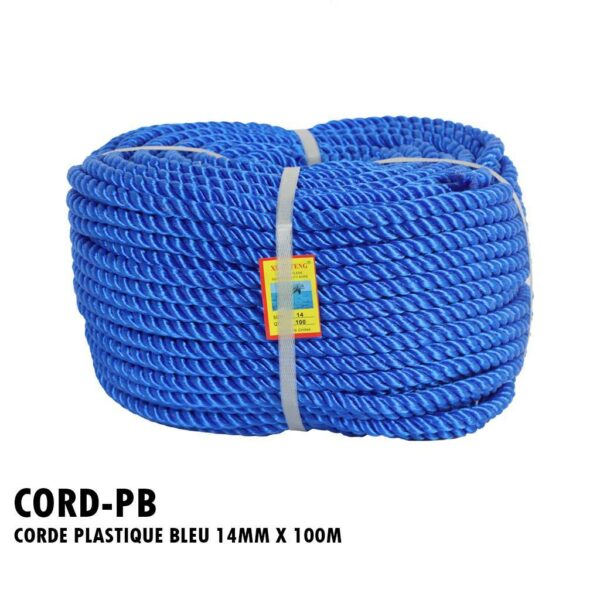 CORDEAU PLASTIQUE BLEU 14MM X 100M