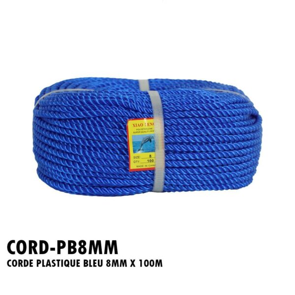CORDEAU PLASTIQUE BLEU 8MM X 100M
