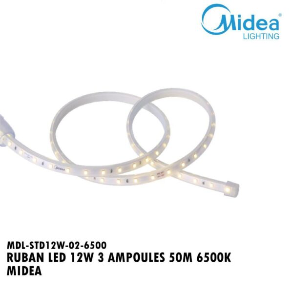 RUBAN LED 12W 3 AMPOULES 50M 6500K MIDEA
