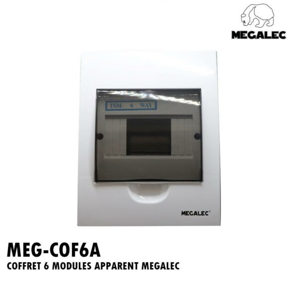 COFFRET 6 MODULES APPARENT MEGALEC