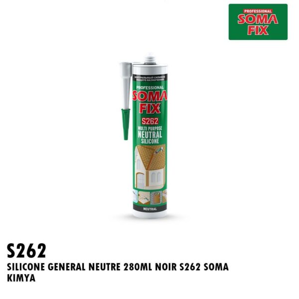 SILICONE GENERAL NEUTRE 280ML NOIR S262