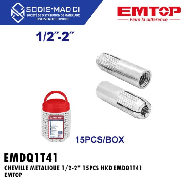 CHEVILLE METALIQUE HKD 1/2"x2" 35PCS EMDQ1T31 EMTOP