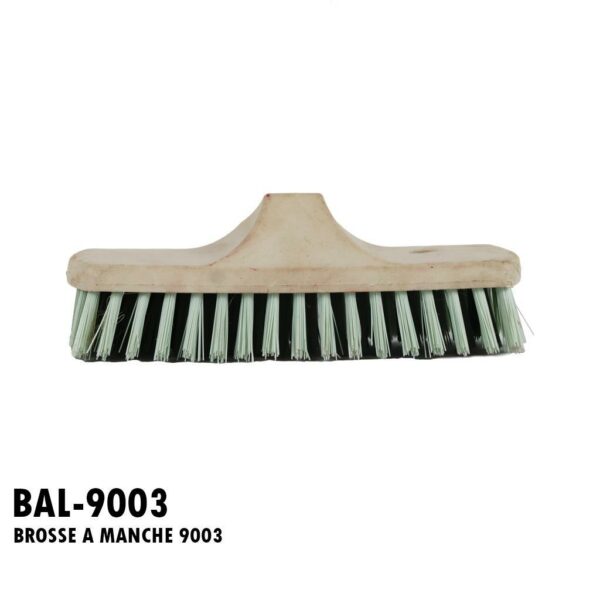 BROSSE A MANCHE 9003