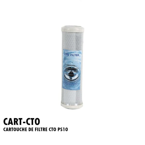 CARTOUCHE DE FILTRE CTO PS10