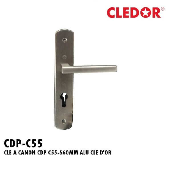 CLE A CANON CDP C55-660MM ALU CLE D'OR