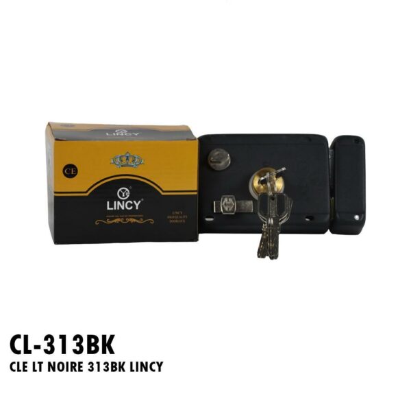 CLE LT NOIRE 313BK LINCY