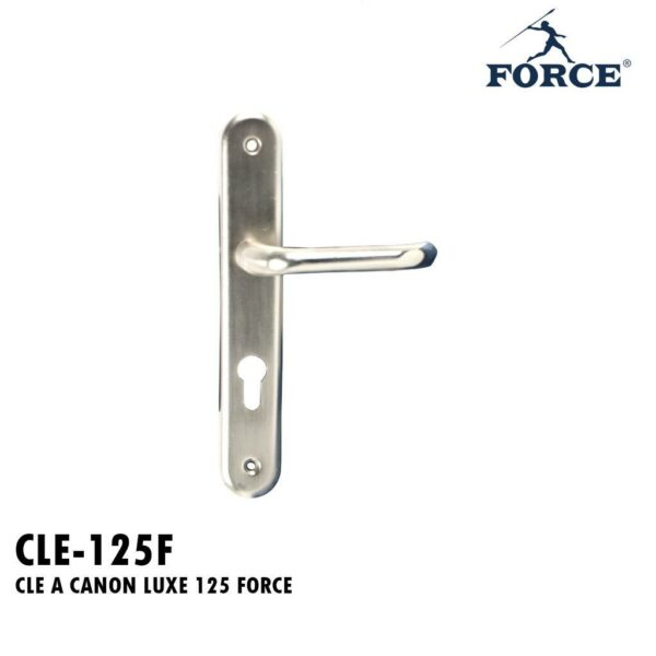 CLE A CANON LUXE 125 FORCE