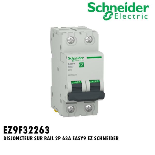 DISJONCTEUR SUR RAIL 2P 63A EASY9 EZ SCHNEIDER
