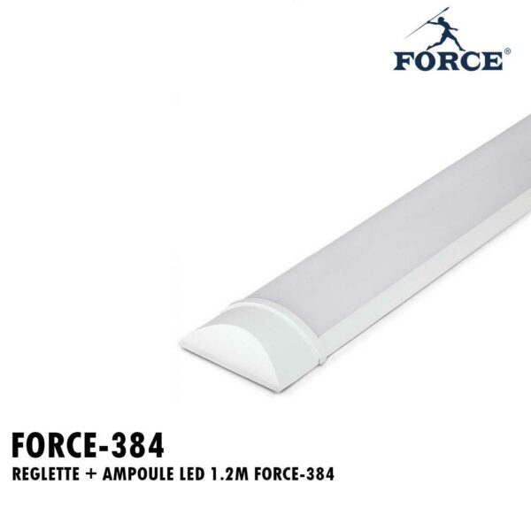 REGLETTE + AMPOULE LED 1.2M FORCE-384
