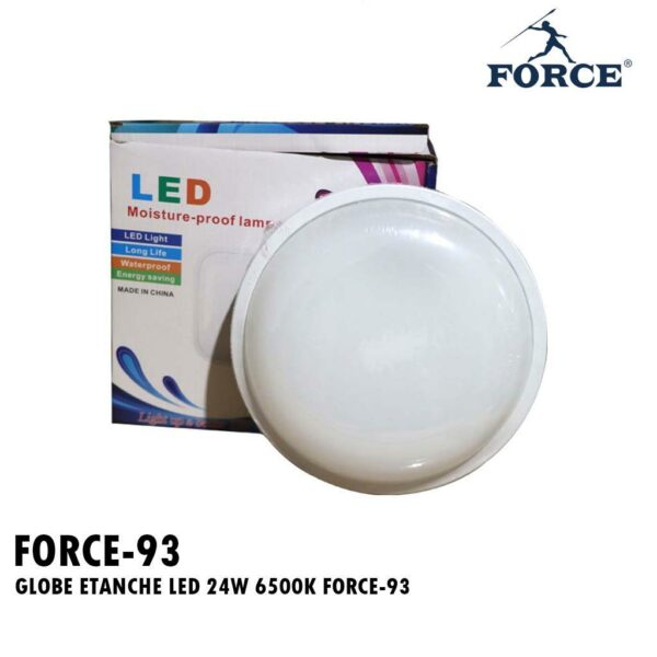 GLOBE ETANCHE LED 24W 6500K FORCE-93