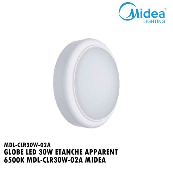 GLOBE LED 30W ETANCHE APPARENT 6500K MDL-CLR30W-02A MIDEA