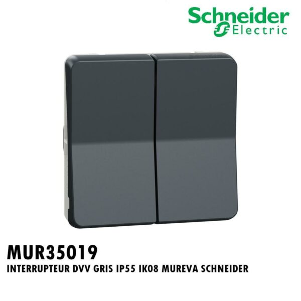 INTERRUPTEUR DVV GRIS IP55 IK08 MUREVA SCHNEIDER