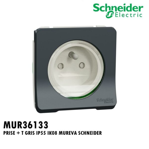 PRISE + T GRIS IP55 IK08 MUREVA SCHNEIDER