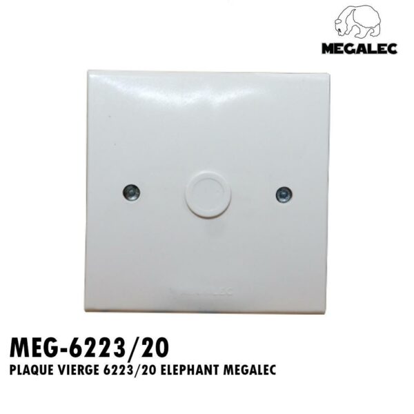 PLAQUE VIERGE 6223/20 ELEPHANT MEGALEC