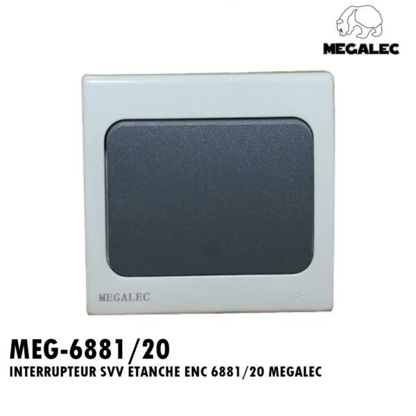 INTERRUPTEUR SVV ETANCHE ENC 6881/20 MEGALEC