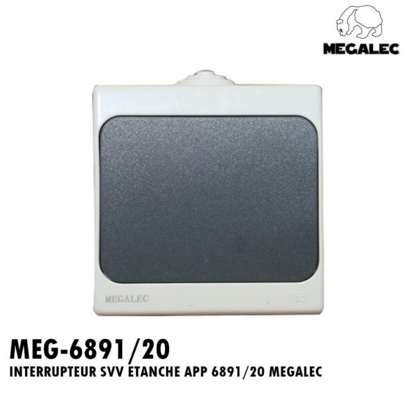 INTERRUPTEUR SVV ETANCHE APP 6891/20 MEGALEC