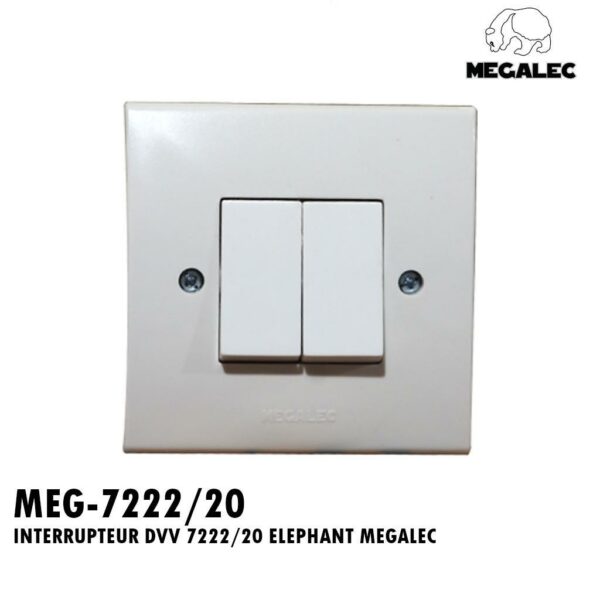 INTERRUPTEUR DVV 7222/20 ELEPHANT MEGALEC