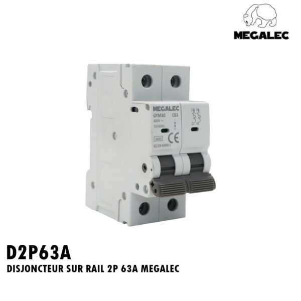 DISJONCTEUR SUR RAIL 2P 63A MEGALEC