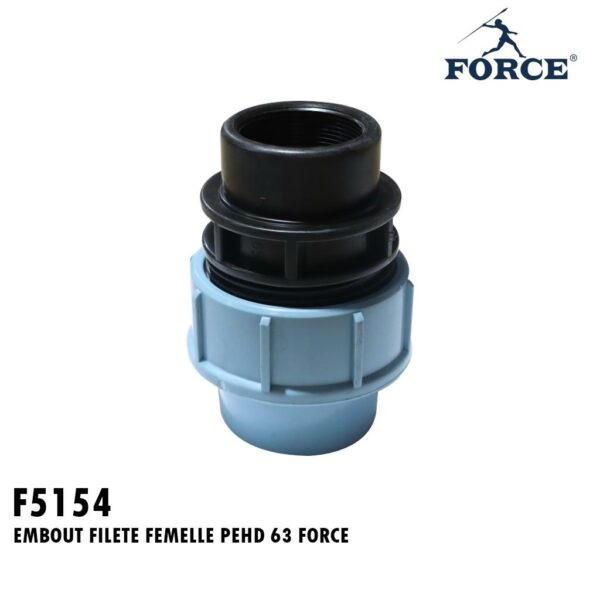 EMBOUT FILETE FEMELLE PEHD 63 FORCE