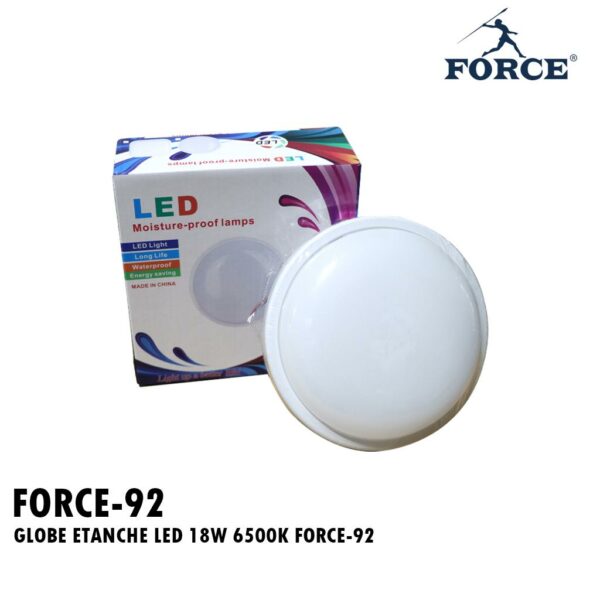 GLOBE ETANCHE LED 18W 6500K FORCE-92