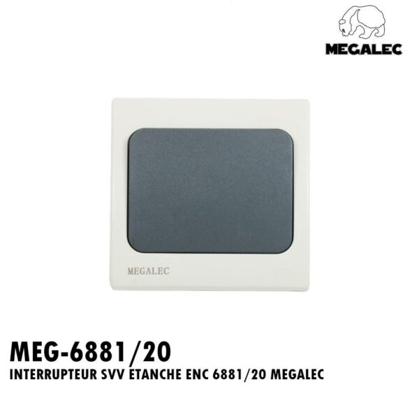 INTERRUPTEUR SVV ETANCHE ENC 6881/20 MEGALEC