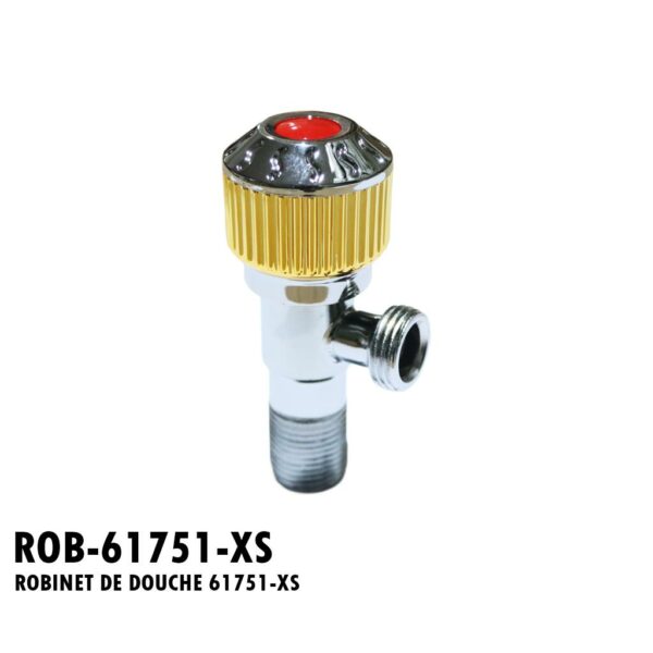 ROBINET DE DOUCHE 61751-XS