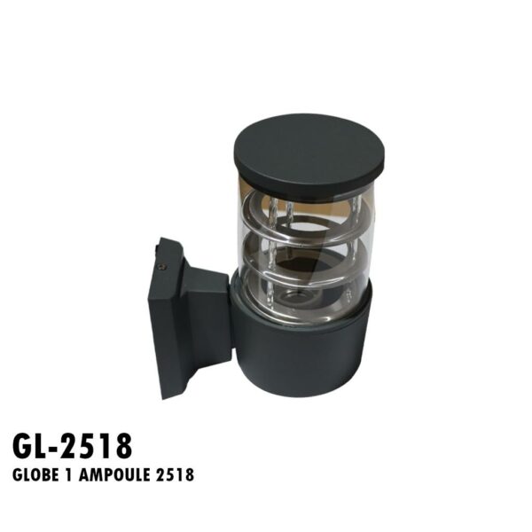 GLOBE 1 AMPOULE 2518