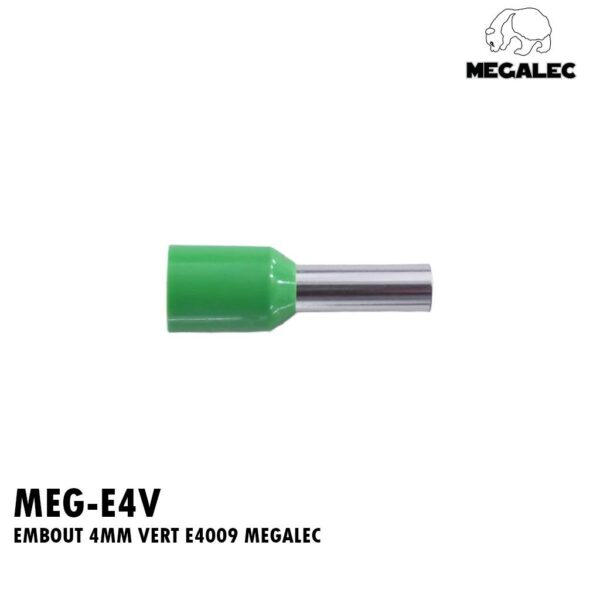 EMBOUT 4MM VERT E4009 MEGALEC