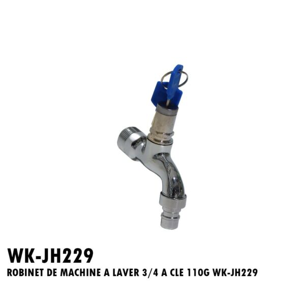 ROBINET DE MACHINE A LAVER 3/4 A CLE 110G WK-JH229
